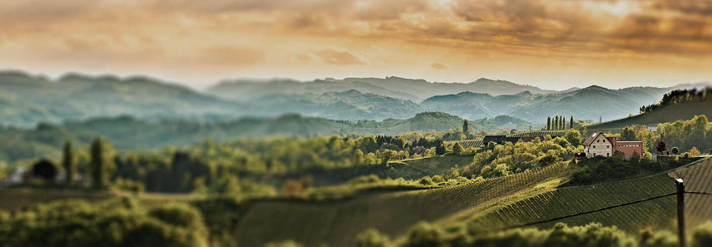 數(shù)字鄉(xiāng)村(cūn)解決方案白(bái)皮書(shū)